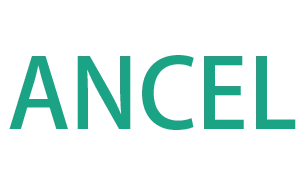  ANCEL